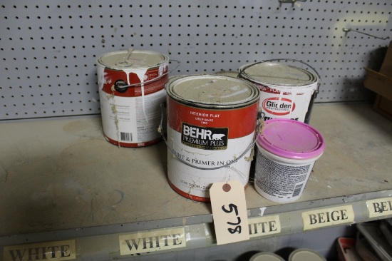 Misc Paint Lot