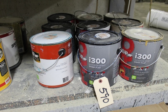 Misc Paint
