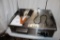Vevor Electric Griddle