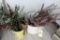 Flower Decor