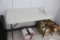 Fish Fillet Table w/ Faucet
