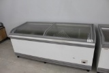 AHT Commercial Chest Cooler