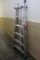 Werner Extendable Ladder