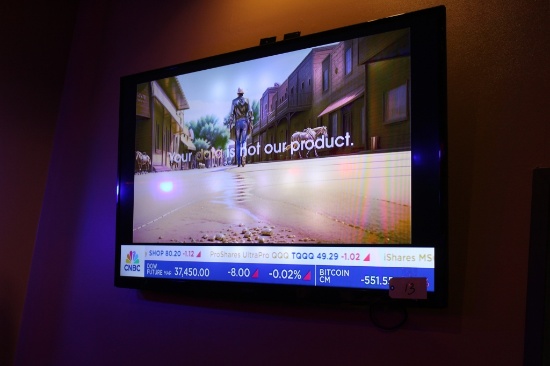 Insignia 65'' Flat Screen TV