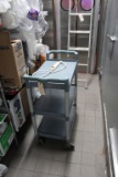 Plastic Cart on Castors