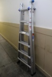Werner Extendable Ladder