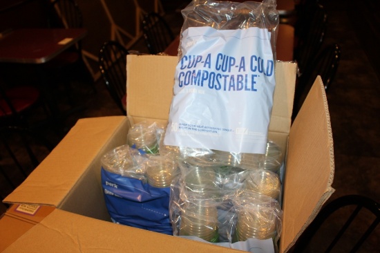 Case of 300 Cups