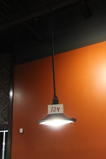 Light Fixtures