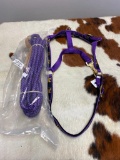 Qty (2) Unused Nylon Horse Halter and Horse Hair Lunge Line (Purple Prayer )