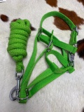 Qty (2) Unused Nylon Horse Halter and Lead (Green)