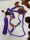 Qty (2) Unused Nylon and Leather Horse Halter and Lead Set (Purple)