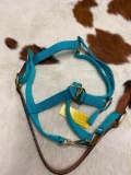 Qty (1) Unused Leather and Nylon Break-Away Horse Halter (Teal)