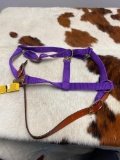Qty (1) Unused Leather and Nylon Break-Away Horse Halter (Purple)