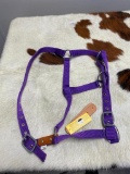 Qty (1) Unused Nylon w. Leather Strap Break-Away Horse Halter (Purple)