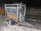 CATTLE CHUTE