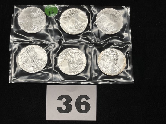 Silver Eagle Mixed Dates unc.