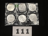 unc. Silver Eagle Mixed Dates