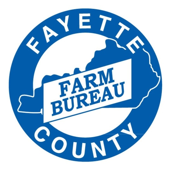 2023 Fayette Co Farm Bureau Auction Ring 2