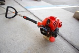 Echo Edger