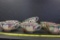 Japanese Hand Painted Teacups