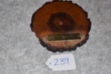 Cross section of tree from Little Round Top, lacquered with bark