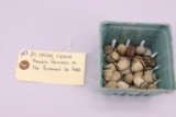 24ct. Union Cleaner Bullets Recovered in the Richmond, VA area