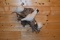 Ptarmigan Set of 3 Birds on Wood – Wall Hanging Mount