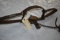 Oneida-Newhouse – #4½ Double Long Spring Smooth Jaw Trap – 25” Long – Animal Trap Co. Lititz, PA – w