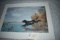 Ned Smith – “Mallard Morning” – 236/600 – Unframed