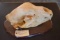 Alaska Brown Bear Skull – Skull Measures 26 9/16”