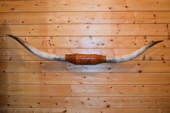 84” Wide Long Horn Cattle Horns on Wall Leather Strapped Plaque