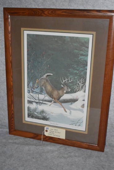 Ned Smith – “Through the Pines” – 496/600 – Framed & Triple Matted Print