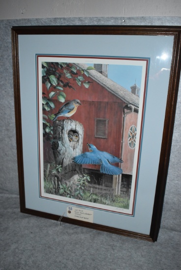 Ned Smith – “Dutch Country Bluebirds” – 474/600 – Framed & Triple Matted Print