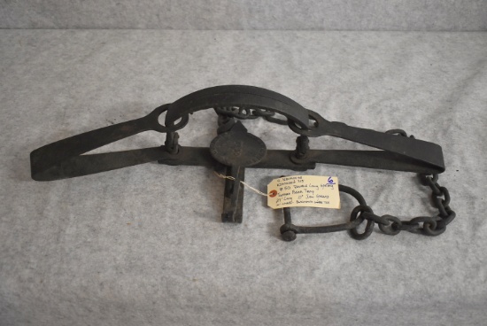 S. Newhouse Kenwood NJ #50 Double Long Spring Toothed Bear Trap – 27” Long & 10” Jaw Spread – w/Blac
