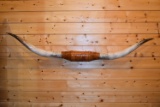 84” Wide Long Horn Cattle Horns on Wall Leather Strapped Plaque