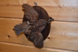 Quail Mounted on Plaque
