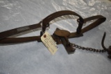 Oneida-Newhouse – #4½ Double Long Spring Smooth Jaw Trap – 25” Long – Animal Trap Co. Lititz, PA – w