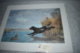 Ned Smith – “Mallard Morning” – 236/600 – Unframed