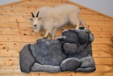 Full Body Mounted Mountain Goat w/Rock & Snow Base