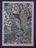 GUILLAUME AZOULAY, The Leopard, Hand Colored