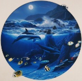 WYLAND & TABORA, Dolphin Moon