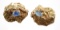 (2) 18K Gold Nugget and Opal Brooch Pin