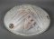 French Art Glass Hanging Frosted Lamp Shade