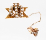 Vintage 14K Gold Phi Sigma Kappa Pin