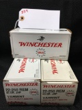 WINCHESTER 22-250 CAL VARMIT HOLLOW POINT (X3)