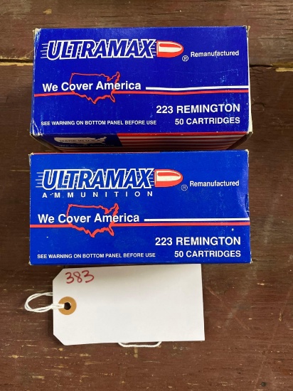 ULTRA MAX 223 CAL 1-HOLLOW POINT 1- SOFT POINT (X2)