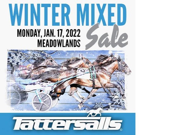 2022 Tattersalls Winter Mixed Sale