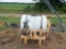 3 PT SPRAYER