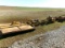 Woods Ditchbank Mower