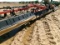 Red Ball hyd fold apx 40' 420 Hooded Sprayer